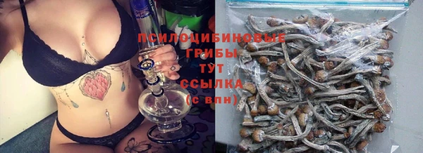 трава Абинск